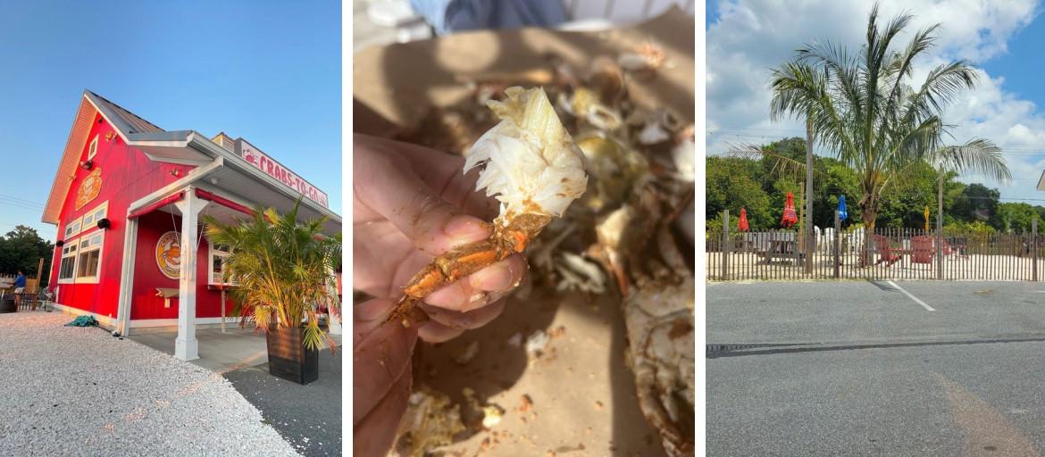 Crabs To Go